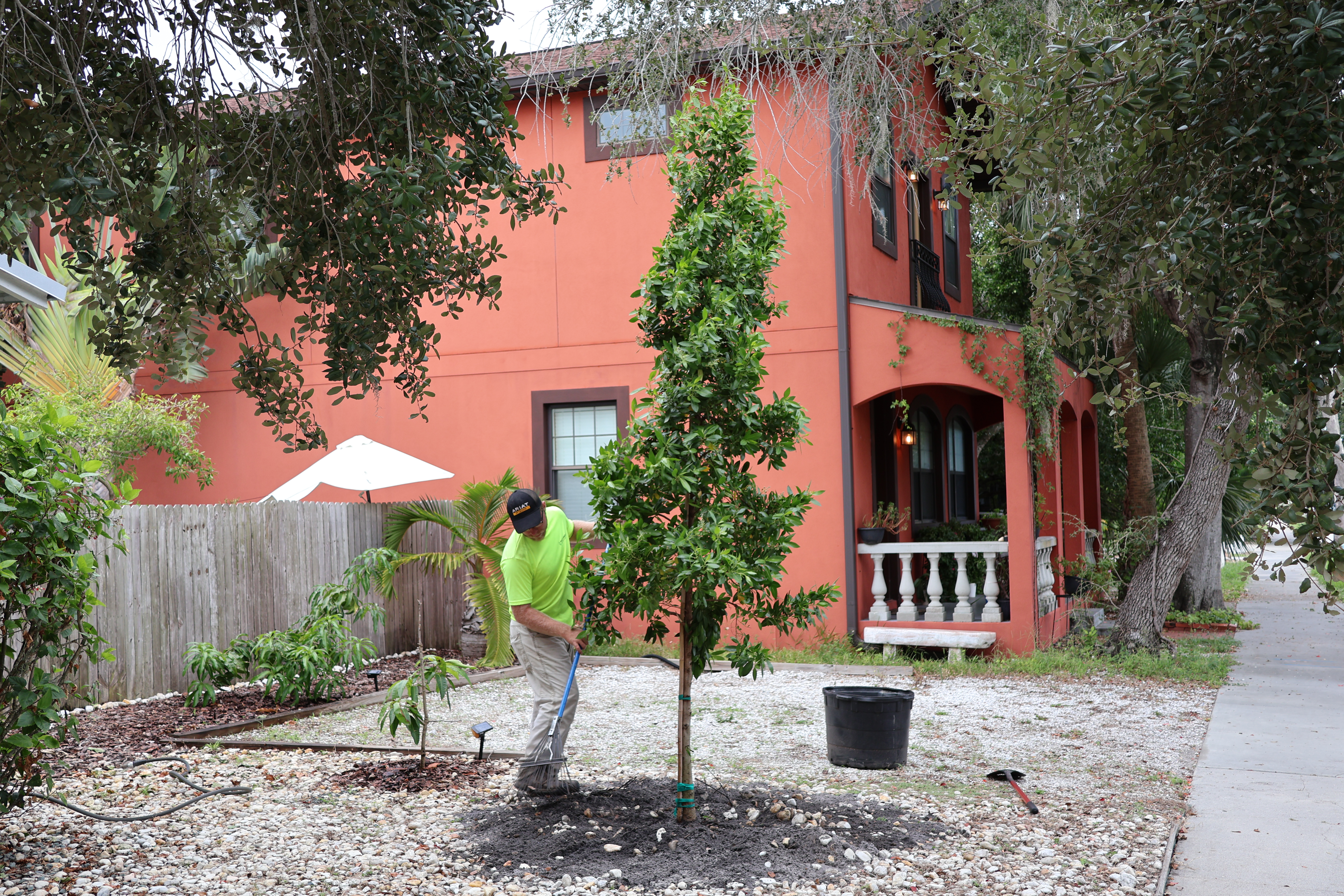 A tree is planted in a participating resident's yard during the 2025 Neighborhood Canopy Program planting