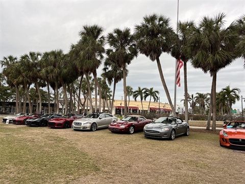 Jaguar Festival Image